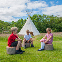 Tree Stumps (3 pack)