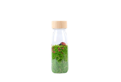 Petit Boum - Sensory Bottle Pack - Eco