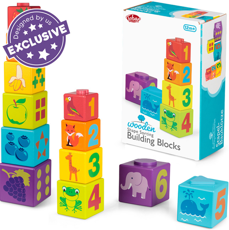 SHAPE SORTING BUILDING BLOCKS