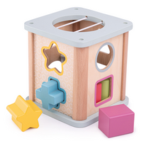 Shape Sorter