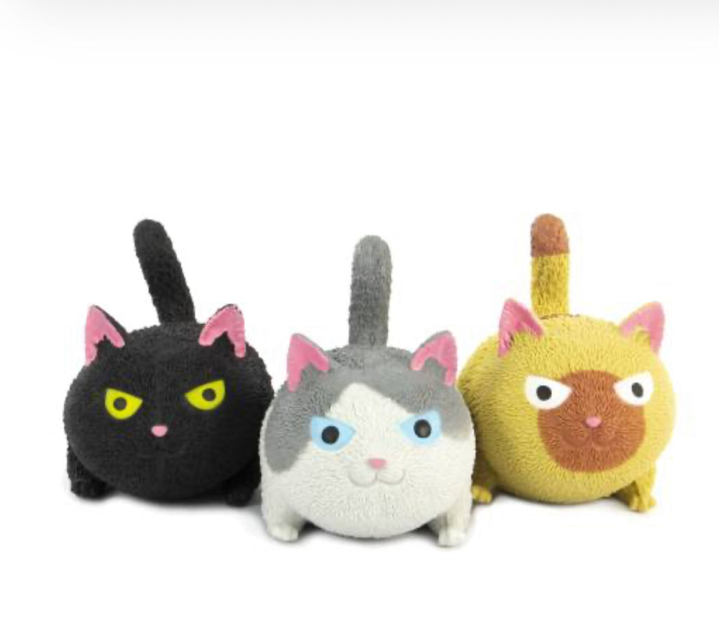 Squidgy Cat– SENsory Toys4U