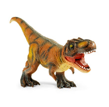 DINOSAUR 20-24" - T REX MUSEUM COLOURS