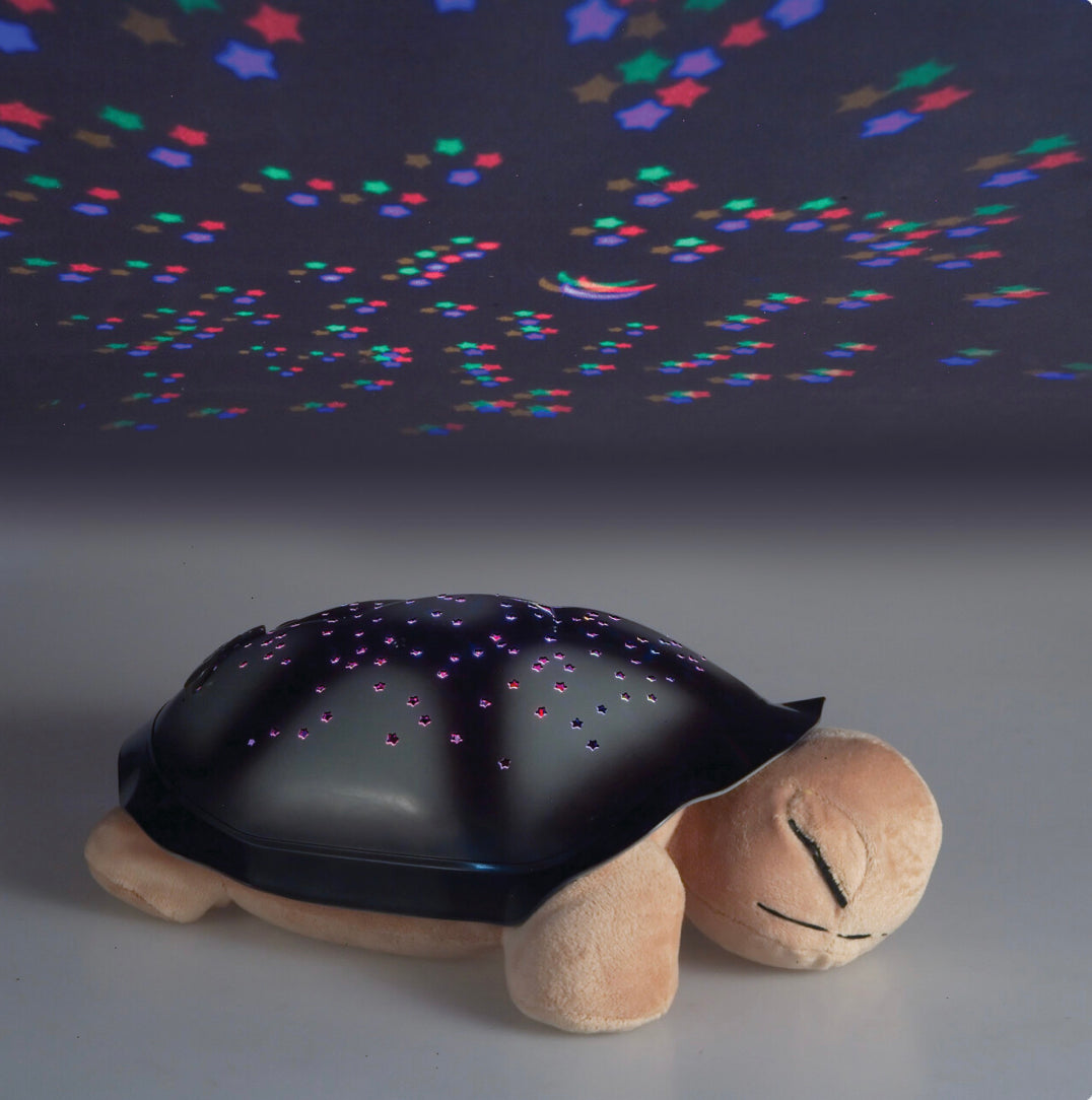 Star Ladybug - Illumination Sensory Toy