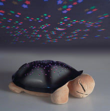 Star Ladybug - Illumination Sensory Toy